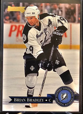 1995-96 Donruss Brian Bradley #139 Tampa Bay Lightning