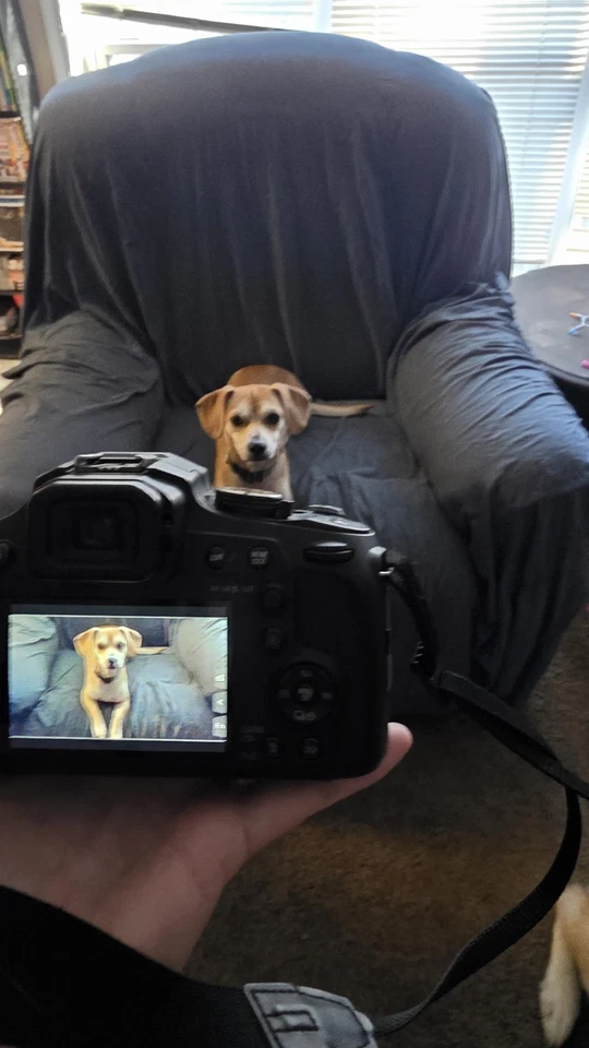 Câmera Digital Bridge Panasonic Lumix DC-FZ80D Preta. Excelente estado. - Imagem 2 de 4