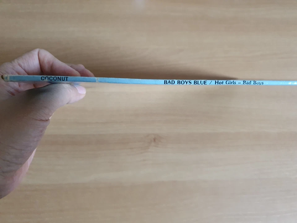 BAD BOYS BLUE - Hot Girls,Bad Boys 1987 Korea Orig Vinyl LP Insert Foto 4 de 4