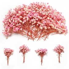 1500 Mini Pink Dried Babys Breath Flowers, 50pcs Baby mini, white pink