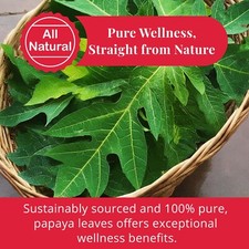 2.6 Oz Papaya Leaves, Dried Leaves, Hojas De Papaya, Papaya Loose Leaf Tea