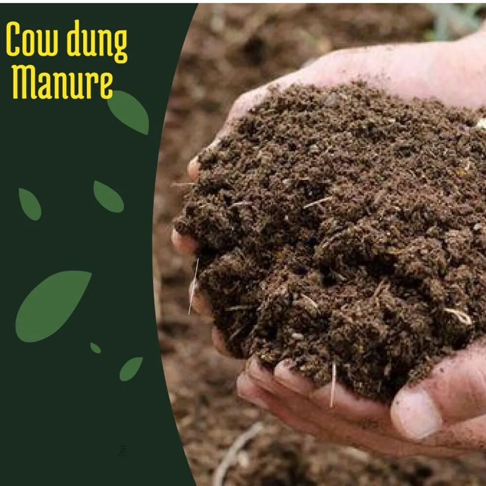 Cow dung fertilizer deals