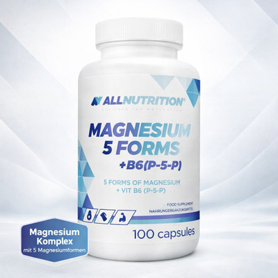Magnesium Komplex mit 5 Magnesiumformen und Vitamin B6 (P-5-P)   100 Kapseln