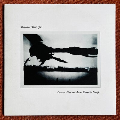 Takaakira ''Taka'' Goto Classical Punk And Echoes Under The Beauty 12'' Vinyl LP