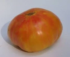 Old German  Beautiful and Delicious - +25 Fresh Seeds  Buy any 3 items, 10% off!