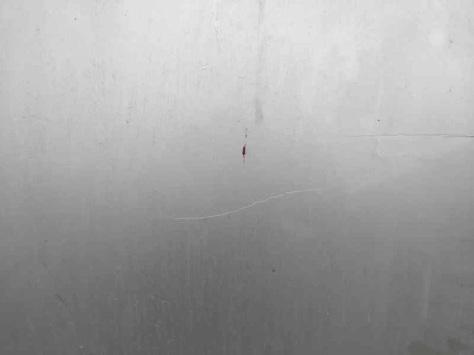 0K2SA52310A Capo para KIA SHUMA II (SPT) 1.6 LS Berlina portón 108798 - Imagen 3 de 4