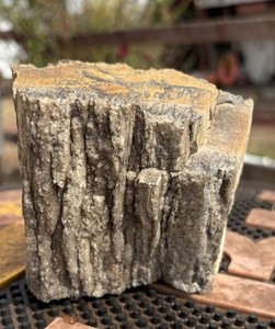 ☘️RR⛏️: Colorful Detailed Arizona Petrified Wood, Smoky Quartz, 2.5 Lb 🪵