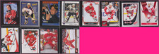 Daniel Cleary 14 Card Lot READ Collection!