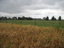 Photo A2 Barley  field  and  Thornton  Grange  Farm Thornton-le-Clay Tra c2012
