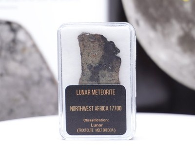 NWA 17700   Lunar Meteorite Troctolite Melt Breccia
