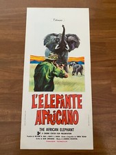 90S LOCANDINA POSTER, L'ELEFANTE AFRICANO AFRICAN ELEFANTH  ZANNE AVORIO