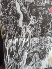 Bild 5 von 8