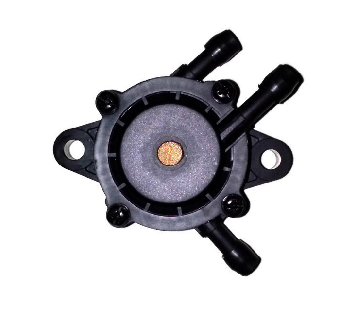 2 Pack Fuel Pump Replaces 491922 808656 691034 Small Engine 2-Pack Fuel ...