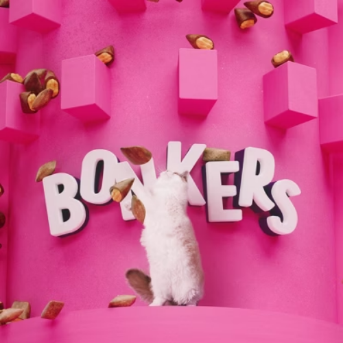 Bonkers Bites Seafood Flavor Cat Treats - 30oz - Bild 20 von 22