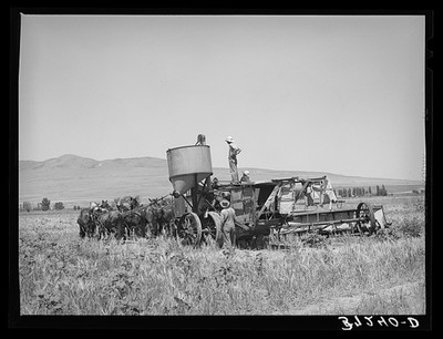 Photo:Box Elder County Utah 1940 Horse-Drawn Combine Harvesting Machine