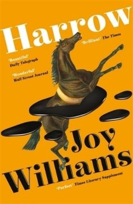 Joy Williams Harrow (Taschenbuch)
