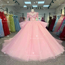Sweet 15 16 Quinceanera Dresses New Arrival Pink Long Sleeves Party Ball Gowns