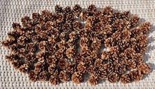 Natural Pine Cones 1KG Approx 100 Per KG  Florist Professional Craft Decoration
