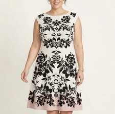 Coquette Nordstrom NWT Eliza J Knit Dress Large Parisian Romantic Preppy Office