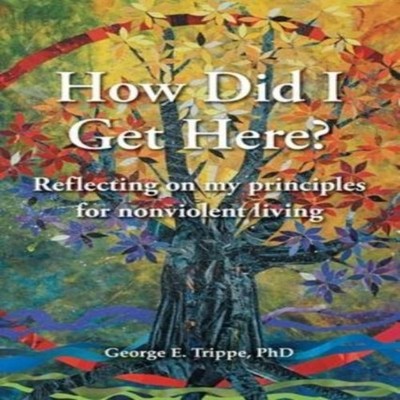 How Did I Get Here? Reflecting on my Principles for Nonviolent Li