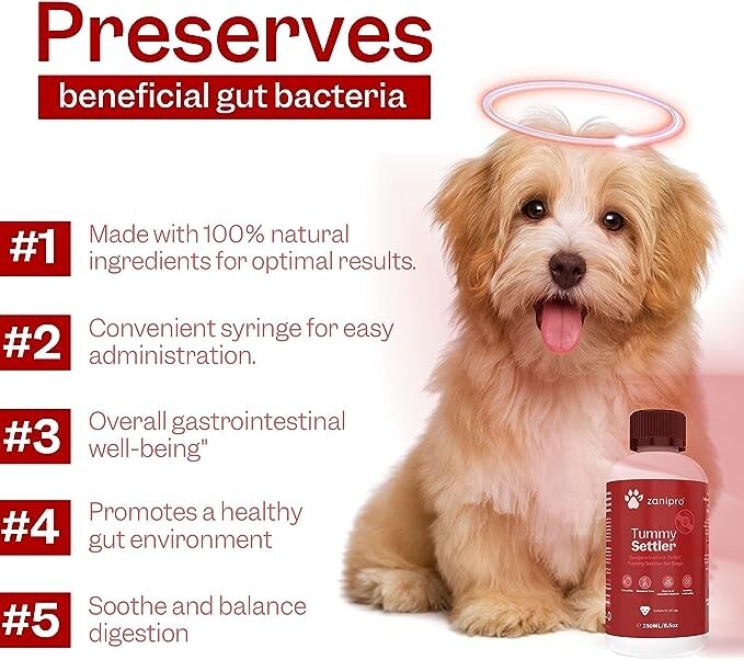 Dog Diarrhea Treatment Fast Acting Digestive Care for Travel Sickness