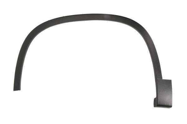 Left Front BLIC 5703-08-9548371P Trim/Protection Strip, wing for VW
