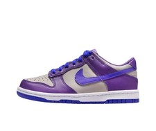 Nike Dunk Low Big kids FB9109-007 Size 5.5Y Missing Lid