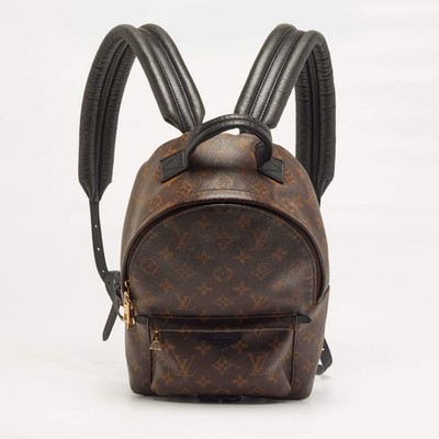 Louis Vuitton Palm Springs PM Monogram Canvas Rucksack