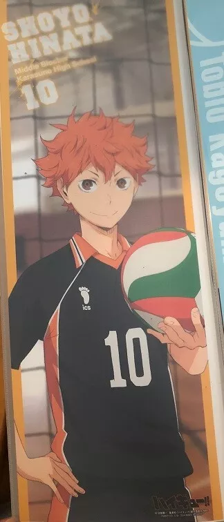 Haikyu Haikyuu Vollyball Anime Single Main Character Shoyo Hinata Tobio  Poster!