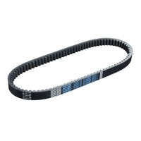 Dayco Keilriemen Antriebsriemen (FüR: Honda Fes 250 Foresight MF04 98-99 )