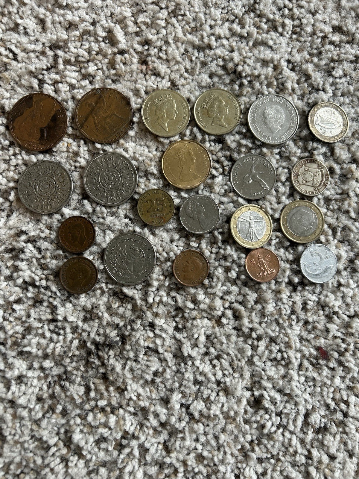 Picture 5 of 6