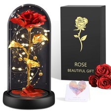 BOLEi Eternal Rose in Glass 10.5 cm x 9.5 x 21.5 cm, Classic Red