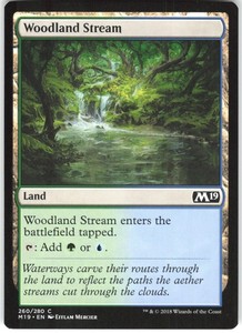 Woodland Stream 260 Core Set 2019 Magic: The Gathering