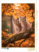 Puzzle Calvendo C'est La Joie De Vivre à L'éTat Pur Dans La LumièRe D'automne |