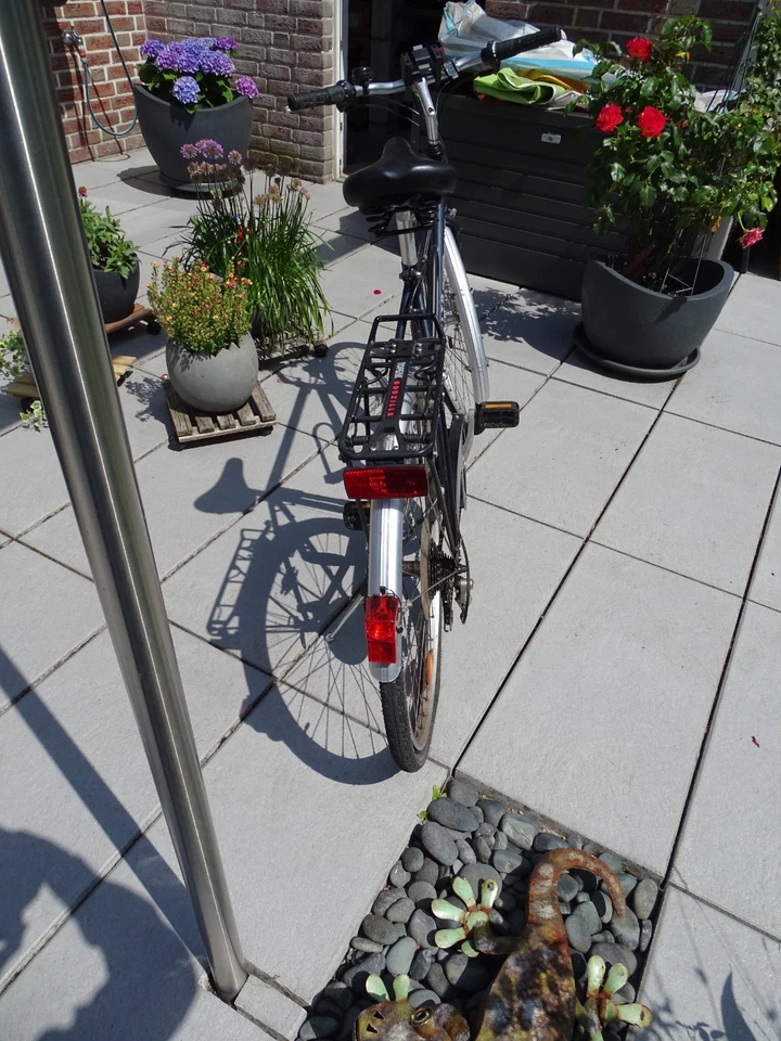 Fahrrad Delta Bikes Godzilla - Bild 4 von 4