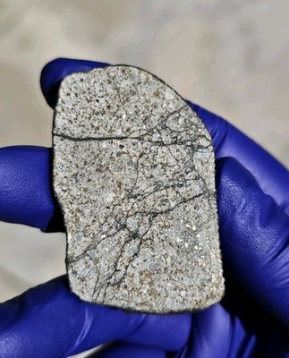 Tana River Kenya New Witnessed Fall Meteorite 23.337g Slice w/ Crust & Metal