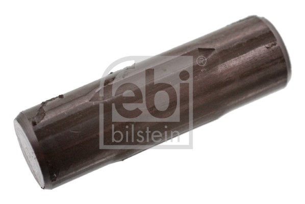FEBI BILSTEIN 06424 Spring Retaining Pin, brake shoe