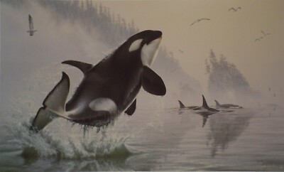 TEEMING WATER ORCAS - KROMSCHROEDER - L/E ART PRINT  -RETAIL $195 KILLER WHALES