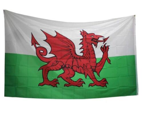 Giant Welsh Flag 8X5FT Wales Dragon CYMRU Sport Euro Cup Football Decor - Picture 7 of 7