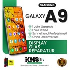 Bild 63 von 63