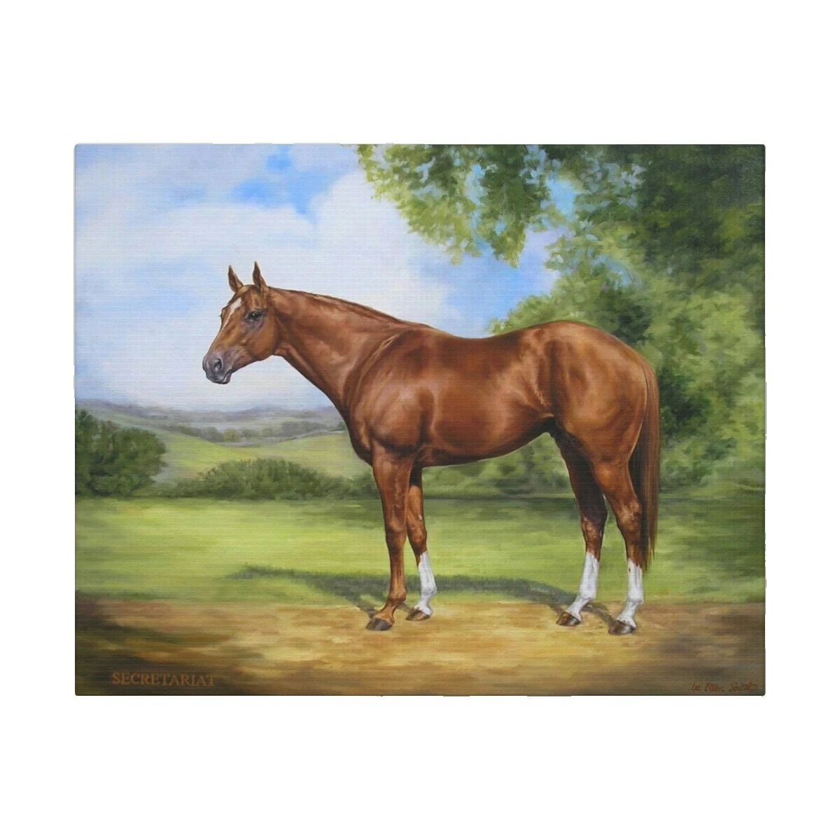 Horses Home Décor Posters & Prints