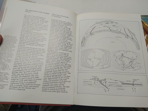 MARBLE: THE HISTORY OF A CULTURE (ENGLISH AND ITALIAN Luciana Mannoni Mint - Picture 5 of 14