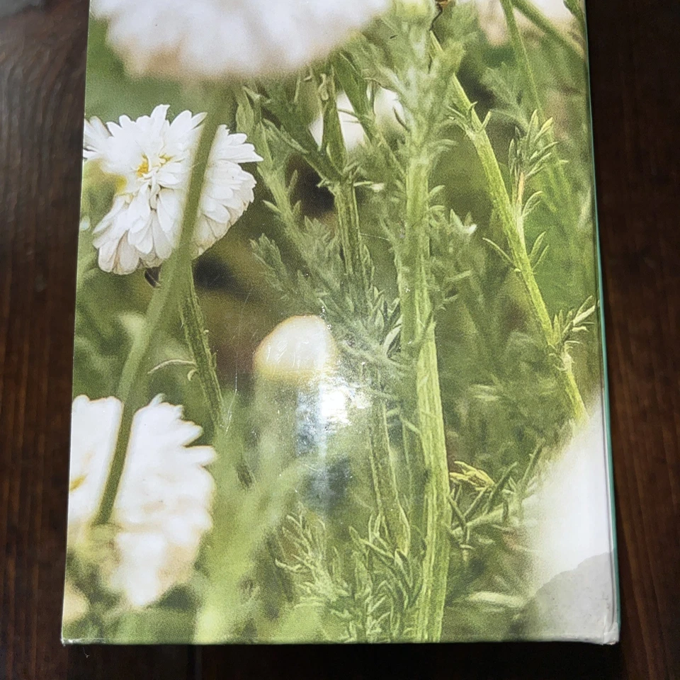 Difusor de Viagem Young Living Viya - Caixa Aberta Novo  - Imagem 2 de 4