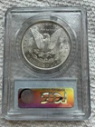 1881-S Morgan Silver Dollar PCGS MS63