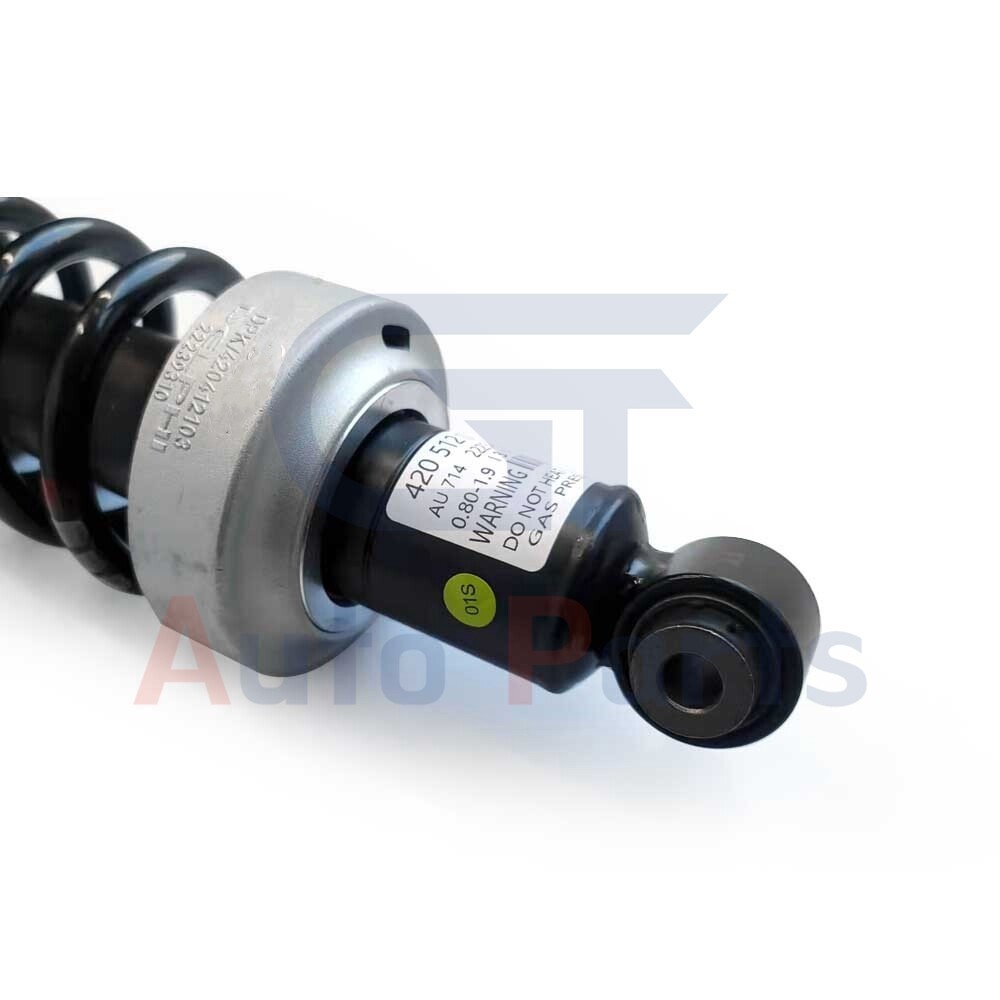 Audi R8 2009-2015 Rear Left Air suspension struts 2 pcs P/N 420512019G