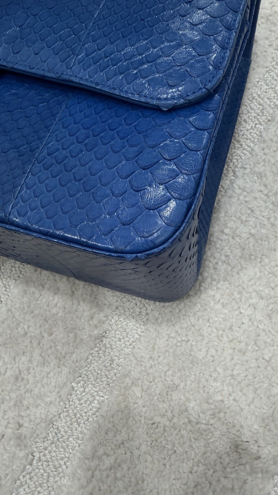 Chanel Python Double Jumbo Flap - image 10