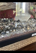 Acquario Juwel Rio 180L