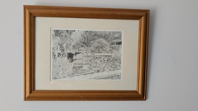 Original Bleistiftskizze The Fountain Ventnor Botanic Gardens Julie Ann Wilson