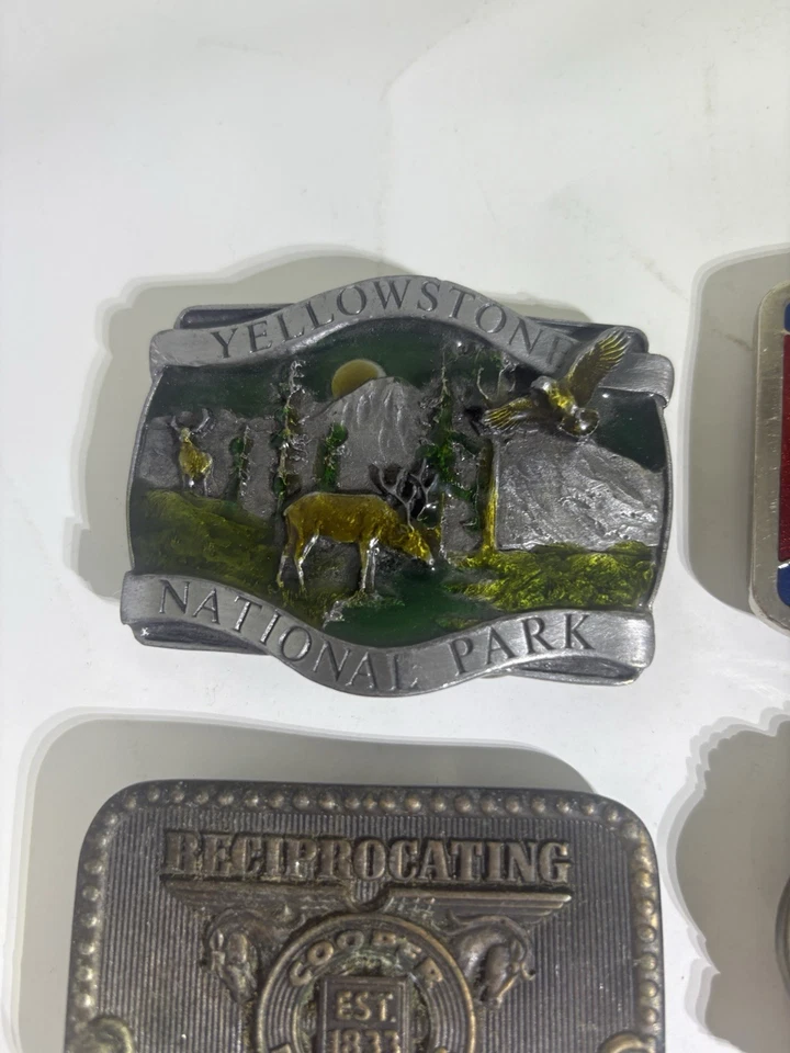 Lote mixto de 11 hebillas de cinturón Foto 2 de 4