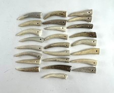 25 -2 " DRILLED DEER ELK ANTLER TINE TIPS ARTS CRAFTS JEWELRY TOGGLE - Bag 1873